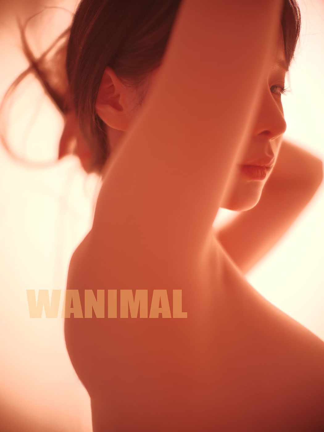 蠢沫沫 wanimal摄影作品73图(蠢沫沫怎么了)插图